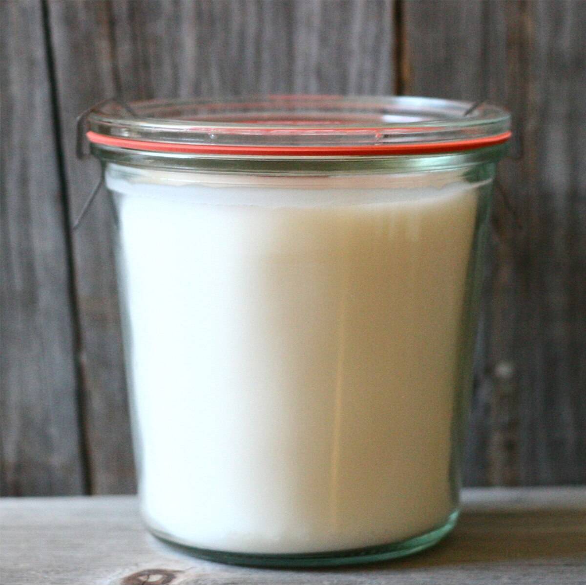 Balsam Fir Wood Wick Soy Candle - BESPOKE PROVISIONS